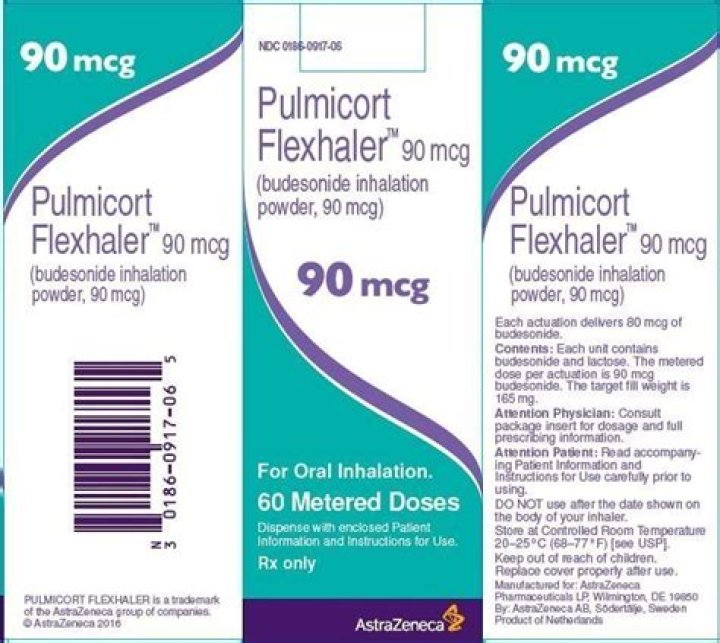 Is there a generic for Pulmicort inhaler?