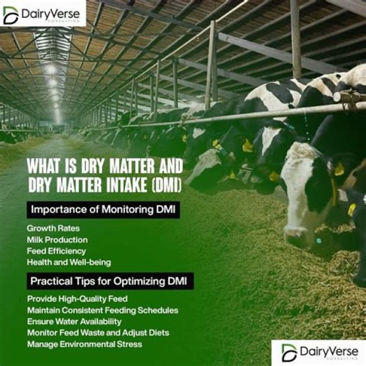 What is dry November?