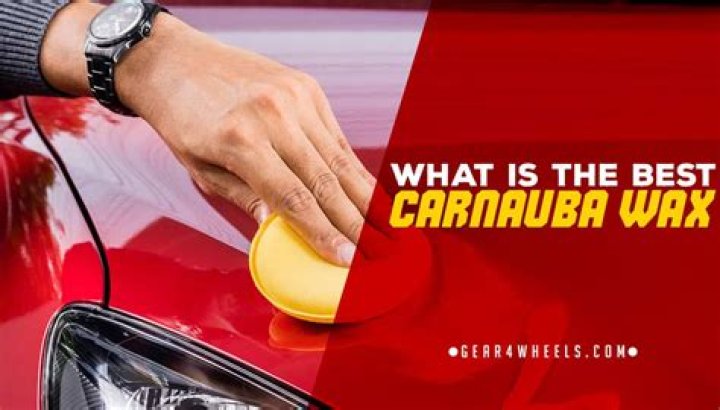 What is the best Carnauba wax for cars?