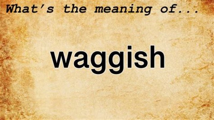 What is the meaning of waggish?